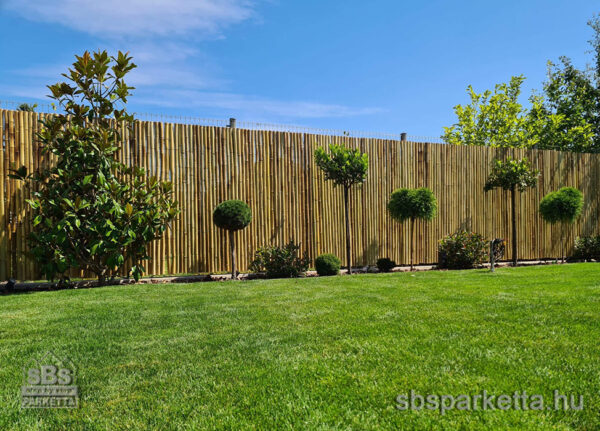 024990-KÜLTÉRI KEZELETLEN FÉLKŐRALAKÚ BAMBUSZTEKERCS – NATÚR - 180 x 100 cm (1db/8kg) - Image 2