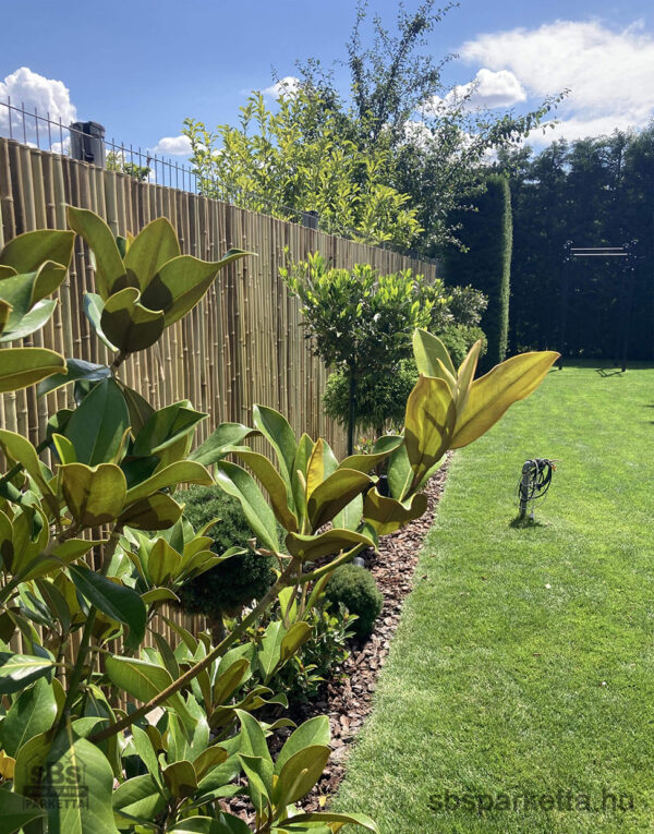 024990-KÜLTÉRI KEZELETLEN FÉLKŐRALAKÚ BAMBUSZTEKERCS – NATÚR - 180 x 100 cm (1db/8kg) - Image 3