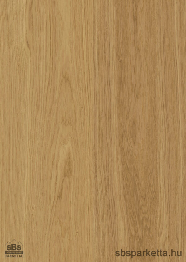 019990-WOODURA 5G DRY - SELECT - Kefélt - Lakkozott Furnérparketta - TÖLGY  - LYA 3.0 XXL - NATURAL - 346008 - Image 5